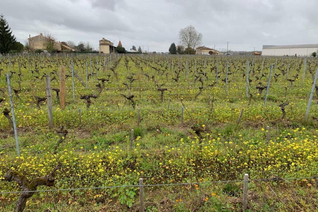Chateau Roseyrol Proche Saint-Emilion Экстерьер фото