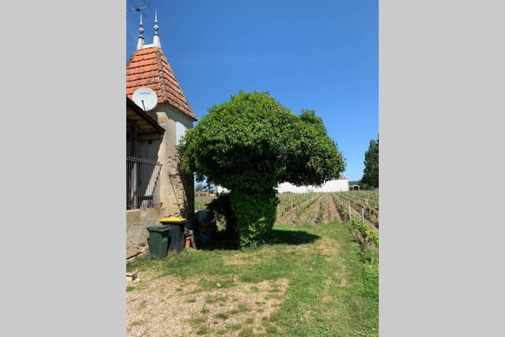 Chateau Roseyrol Proche Saint-Emilion Экстерьер фото