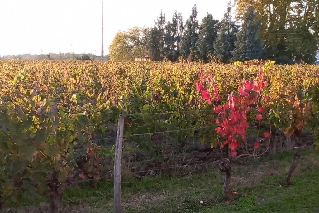 Chateau Roseyrol Proche Saint-Emilion Экстерьер фото